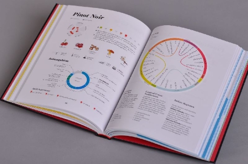 Buchcover und Innenansicht für das Buch: Wine Folly ¿ Magnum Edition. The Master Guide
