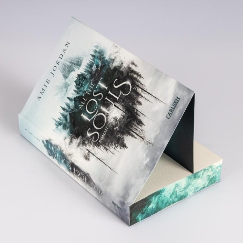 Buchcover und Innenansicht für das Buch: All The Hidden Monsters 2