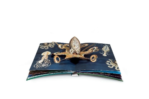 Buchcover und Innenansicht für das Buch: Wunderwesen aus der Tiefe. Ernst Haeckel