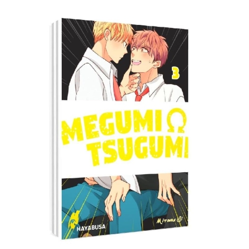 Buchcover und Innenansicht für das Buch: Megumi to Tsugumi