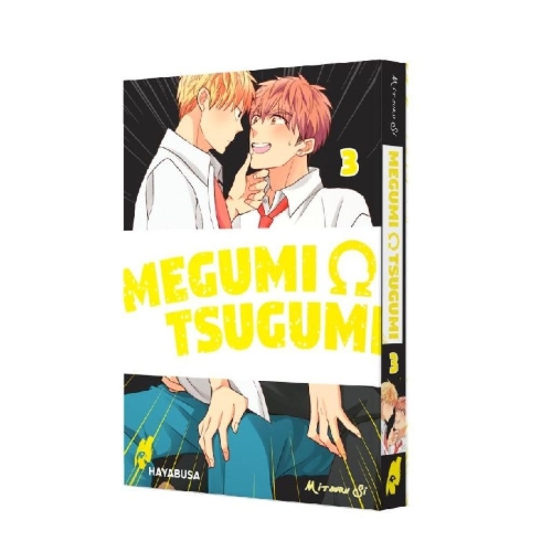Buchcover und Innenansicht für das Buch: Megumi to Tsugumi