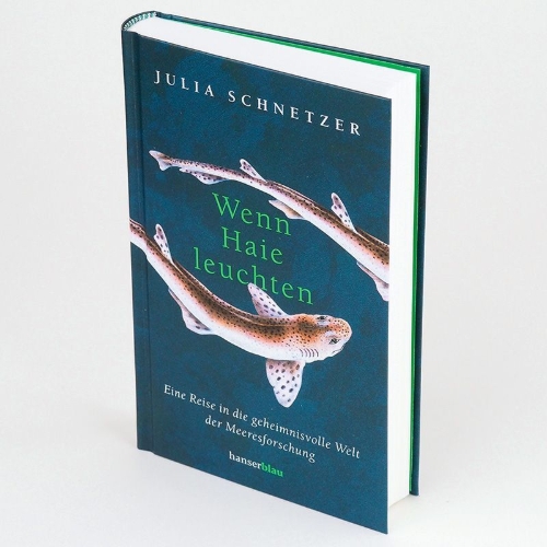 Buchcover und Innenansicht für das Buch: Wenn Haie leuchten