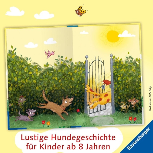 Buchcover und Innenansicht für das Buch: 3 Streuner und der sprechende Berg