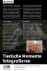 Buchcover und Innenansicht für das Buch: Tierische Momente fotografieren