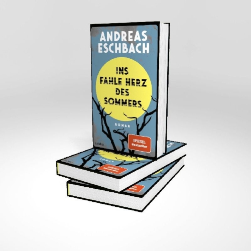 Buchcover und Innenansicht für das Buch: Ins fahle Herz des Sommers
