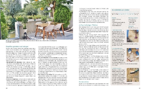 Buchcover und Innenansicht für das Buch: Das große Praxishandbuch Garten