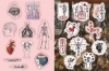 Buchcover und Innenansicht für das Buch: Kuriositäten & Seltsamkeiten - Stickerbuch
