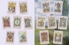 Buchcover und Innenansicht für das Buch: Kuriositäten & Seltsamkeiten - Stickerbuch