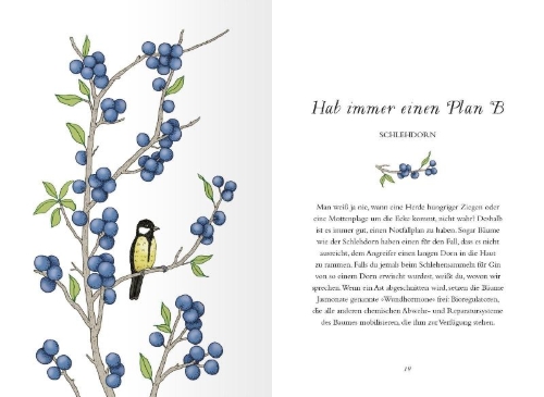 Buchcover und Innenansicht für das Buch: How to be more tree