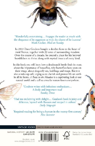 Buchcover und Innenansicht für das Buch: A Buzz in the Meadow