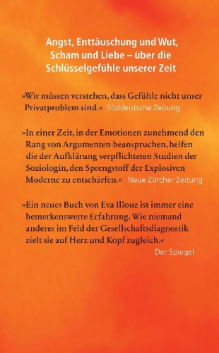 Buchcover und Innenansicht für das Buch: Explosive Modernity