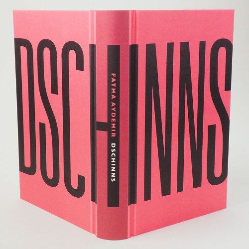 Buchcover und Innenansicht für das Buch: Dschinns