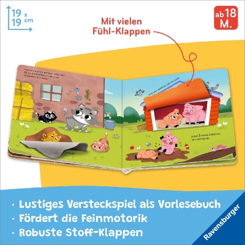 Buchcover und Innenansicht für das Buch: Wo seid ihr, kleine Kätzchen?