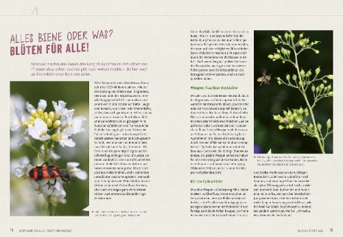 Buchcover und Innenansicht für das Buch: Richtig gute Pflanzen für Insekten