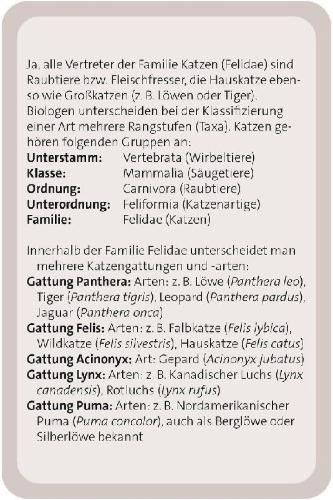 Buchcover und Innenansicht für das Buch: Das große Katzen Quiz