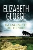Buchcover und Innenansicht für das Buch: In the Presence of the Enemy