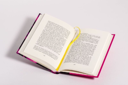Buchcover und Innenansicht für das Buch: Bye Bye Lolita