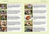 Buchcover und Innenansicht für das Buch: Ideenbuch Nützlingshotels