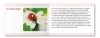 Buchcover und Innenansicht für das Buch: Ich kenne Waldtiere / Haus- und Hoftiere / Insekten und Spinnen. 3 Schülerarbeitshefte im Kombi für die 2. bis 4. Klasse