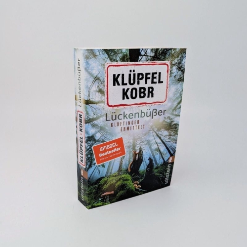 Buchcover und Innenansicht für das Buch: Lückenbüßer