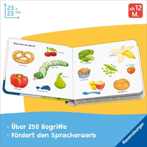 Buchcover und Innenansicht für das Buch: Mein erstes großes Wörterbuch