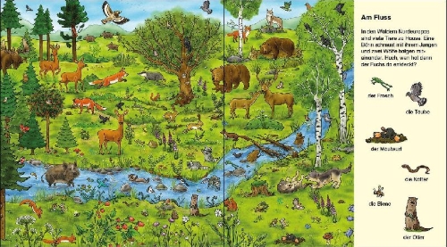 Buchcover und Innenansicht für das Buch: Suche und finde! - Wilde Tiere