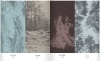 Buchcover und Innenansicht für das Buch: Wilder Wald