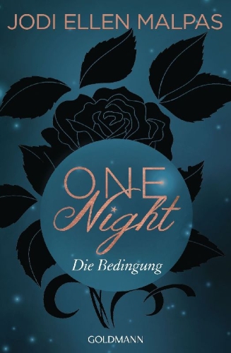 Buchcover und Innenansicht für das Buch: One Night: Promised (Book No. 1)