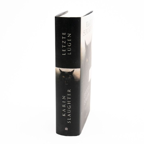 Buchcover und Innenansicht für das Buch: This is why we lied