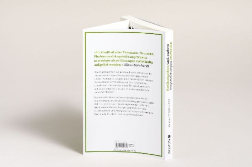 Buchcover und Innenansicht für das Buch: Panikattacken und andere Angststörungen loswerden