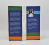 Buchcover und Innenansicht für das Buch: Why we click..The Emerging Science of Interpersonal Synchrony