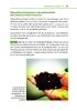 Buchcover und Innenansicht für das Buch: Cannabis zu Hause anbauen für Anfänger
