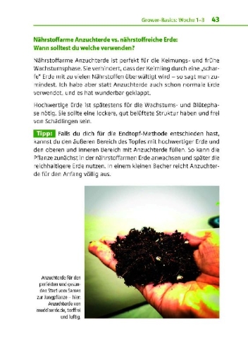 Buchcover und Innenansicht für das Buch: Cannabis zu Hause anbauen für Anfänger