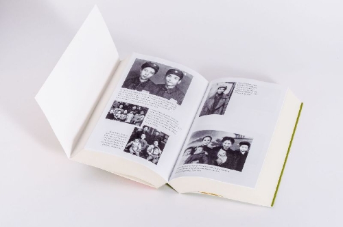 Buchcover und Innenansicht für das Buch: Wild Swans