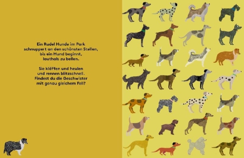 Buchcover und Innenansicht für das Buch: Where's the pair?