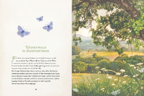 Buchcover und Innenansicht für das Buch: Wiesenwald