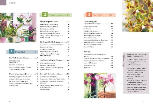 Buchcover und Innenansicht für das Buch: Orchideen pflegen