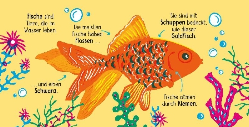 Buchcover und Innenansicht für das Buch: 50 Wörter über die Natur - Tiere