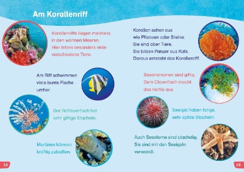 Buchcover und Innenansicht für das Buch: WAS IST WAS Erstes Lesen easy! Tiere im Meer