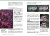 Buchcover und Innenansicht für das Buch: Nikon D500 - Für bessere Fotos von Anfang an