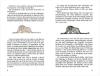 Buchcover und Innenansicht für das Buch: Le Petit Prince