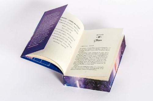 Buchcover und Innenansicht für das Buch: Strike Me Right