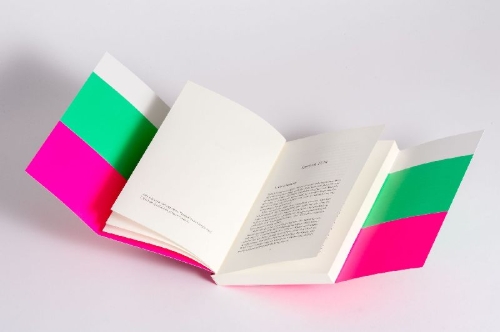 Buchcover und Innenansicht für das Buch: Polifon Pervers