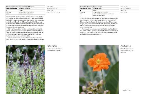 Buchcover und Innenansicht für das Buch: Grün in allen Farben