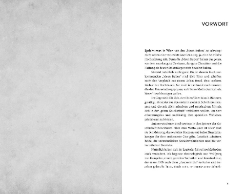 Buchcover und Innenansicht für das Buch: Die bösen Buben von Wien
