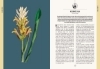 Buchcover und Innenansicht für das Buch: Der Garten des Apothekers