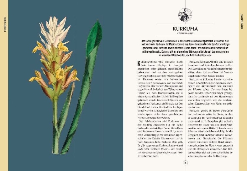 Buchcover und Innenansicht für das Buch: Der Garten des Apothekers