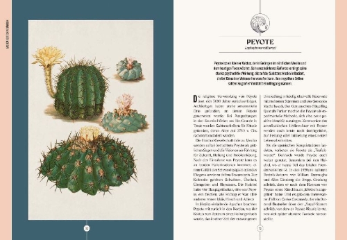 Buchcover und Innenansicht für das Buch: Der Garten des Apothekers