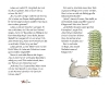 Buchcover und Innenansicht für das Buch: Die Nordseedetektive. Das geheime Wissen über Ebbe und Flut, Meeresleuchten, Heuler und Strandpiraten