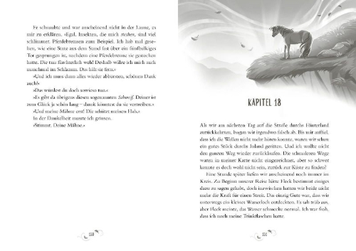 Buchcover und Innenansicht für das Buch: Ride North